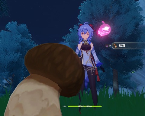 no title