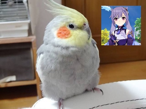no title