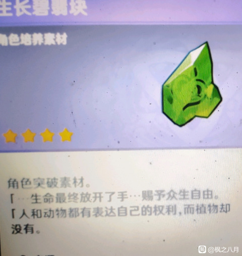 【原神】やはりというべきか草実装は近い