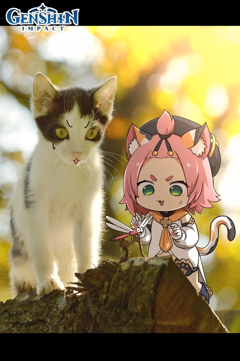 no title