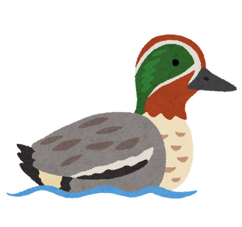 bird_kogamo